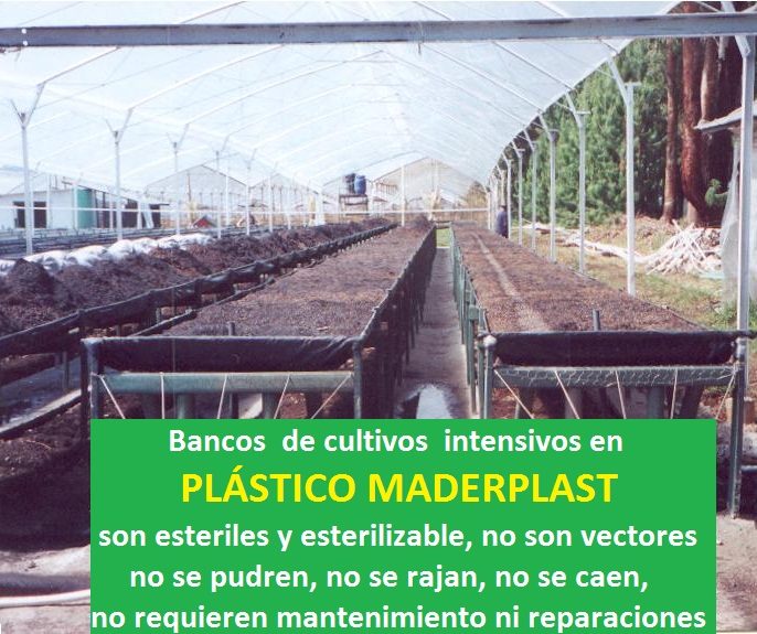 banco para cultivar plantas sembrar plantar germinar enraizar sustrato tierra vegetal cultivo tecnificado de flores legumbres arboles plantas hortalizas en mesón mesa para germinar propagar 000 banco para cultivar plantas sembrar plantar germinar enraizar sustrato tierra vegetal cultivo tecnificado de flores legumbres arboles plantas hortalizas en mesón mesa para germinar propagar 000 01 02 banco para cultivar plantas sembrar plantar germinar enraizar sustrato tierra vegetal cultivo tecnificado de flores legumbres arboles plantas hortalizas en mesón mesa para germinar propagar 000 03 banco para cultivar plantas sembrar plantar germinar enraizar sustrato tierra vegetal cultivo tecnificado de flores legumbres arboles plantas hortalizas en mesón mesa para germinar propagar 000